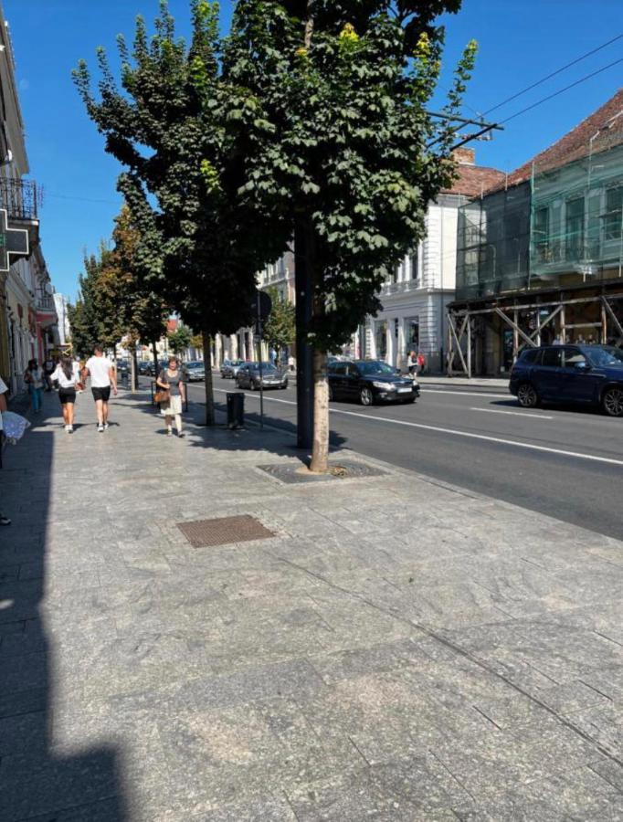 Ndl Downtown Apartment Cluj-Napoca Luaran gambar